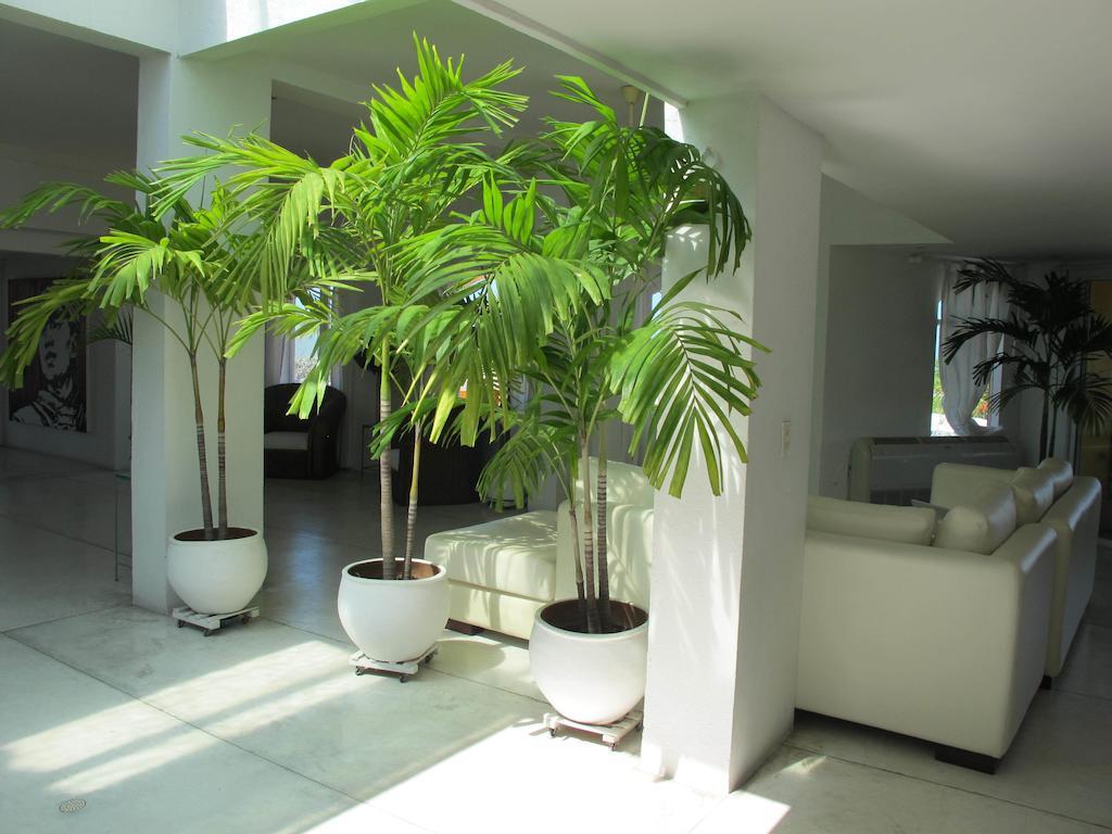 Penthouse Caribbean View And Private Pool, Cartagena Apartment Екстериор снимка